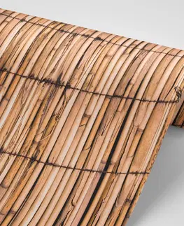 Tapety s imitáciou dreva Fototapeta exotický bambus