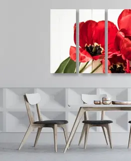 Obrazy kvetov 5-dielny obraz červené tulipány v rozkvete