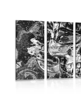 Čiernobiele obrazy 5-dielny obraz umelecká lebka v čiernobielom prevedení