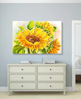Obrazy kvetov Obraz nádherná slnečnica