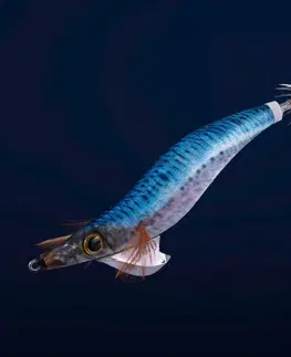 rybolov Nástraha Turlutte potápavá shallow Ebika 3.0/120 Modrá sardinka na sépie/kalmáre