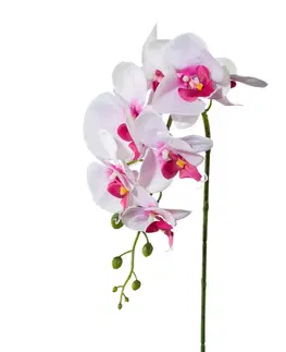 Kvety Umelá Orchidea ružová, 86 cm 305303-10