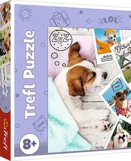 Hračky puzzle TREFL - Puzzle 300 - Fotky z dovolenky