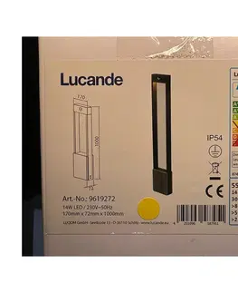 Záhradné lampy Lucande Lucande - LED Vonkajšia lampa so senzorom TEKIRO LED/14W/230V IP54 
