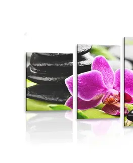 Obrazy Feng Shui 5-dielny obraz wellness zátišie s fialovou orchideou