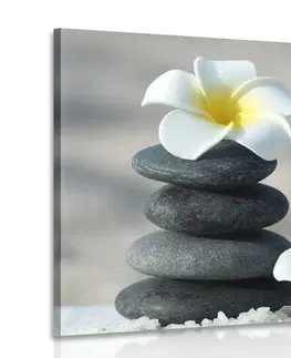 Obrazy Feng Shui Obraz harmonické kamene a kvet pluméria