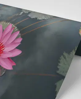 Samolepiace tapety Samolepiaca fototapeta očarujúci lotosový kvet