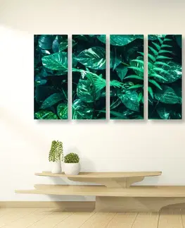 Obrazy zátišie 5-dielny obraz svieže tropické listy