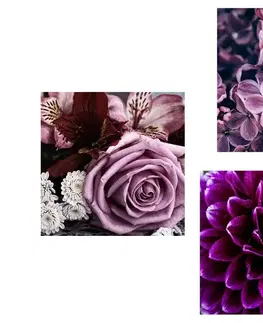 Zostavy obrazov Set obrazov fialové kvety so srdiečkom