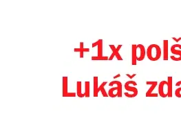 Matrace Matrac KRÉTA pre alergikov + 1x vankúš Lukáš ZADARMO Drevočal 80 x 200 cm Levanduľa