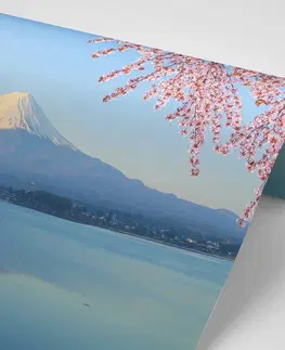 Samolepiace tapety Samolepiaca fototapeta výhľad z jazera na Fuji