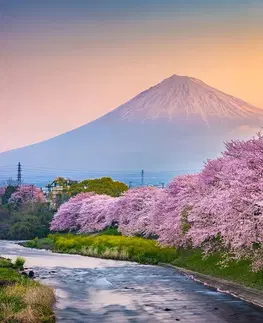 Tapety príroda Fototapeta nádherné Japonsko
