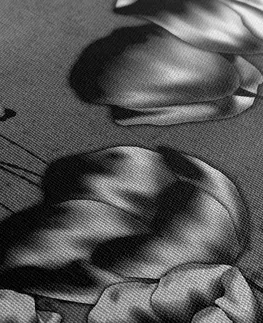 Čiernobiele obrazy Obraz maky v etno nádychu v čiernobielom prevedení