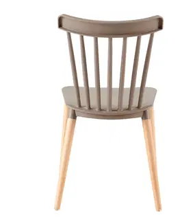 Stoličky Jedálenská stolička, sivá/buk, ZOSIMA