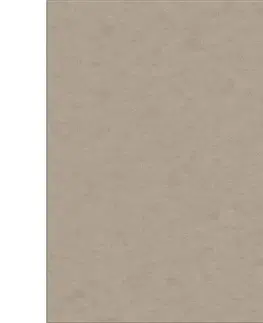 Koberce a koberčeky KONDELA Kalambel koberec 80x150 cm cappuccino