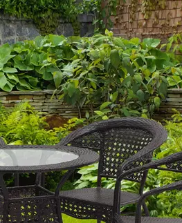 Záhradné zostavy Záhradný set 1+4, hnedá, GETON