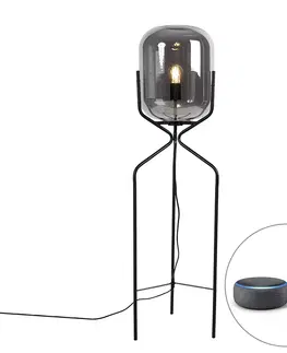 Stojace lampy Inteligentná stojaca lampa čierna vrátane WiFi A60 dymového skla - Bliss