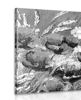Čiernobiele obrazy Obraz maľované poľné maky v čiernobielom prevedení