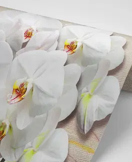 Samolepiace tapety Samolepiaca tapeta biela orchidea na plátne