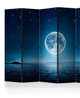 Paravány Paraván Moonlit night Dekorhome 225x172 cm (5-dielny)
