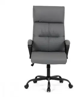 Kancelárske stoličky Kancelárske kreslo KA-Y346 Autronic Modrá