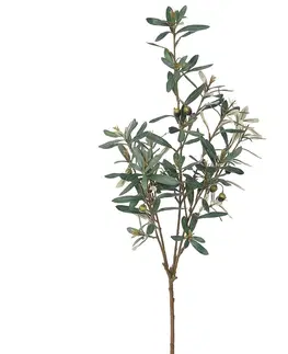Kvety Umelá vetva Olivovníka zelená, 81 cm 