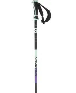 Zjazdové palice Salomon Shiva Alpine Poles W 110 cm
