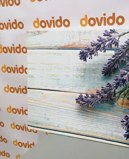 Obrazy kvetov Obraz levanduľa na drevenom pozadí