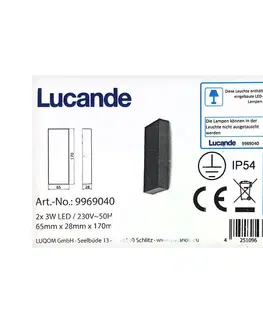 Svietidlá Lucande Lucande - LED Vonkajšie nástenné svietidlo CORDA 2xLED/3W/230V IP54 