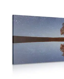 Obrazy prírody a krajiny Obraz hviezdna obloha nad osamelým stromom