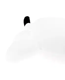 Plyšové hračky Plyšový psík, biela/čierny pásik, 50cm, REXO typ 1