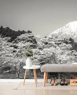 Tapety príroda Fototapeta hora Fuji v čiernobielom