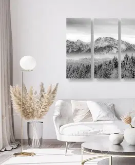 Čiernobiele obrazy 5-dielny obraz zamrznuté hory v čiernobielom prevedení