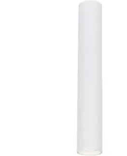 Svietidlá  Bodové svietidlo GENESIS 1xGU10/8W/230V 40 cm biela 
