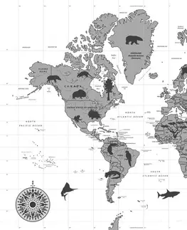 Obrazy na korku Obraz na korku mapa so zvieratami v čiernobielom prevedení