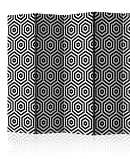 Paravány Paraván Black and White Hypnosis Dekorhome 225x172 cm (5-dielny)