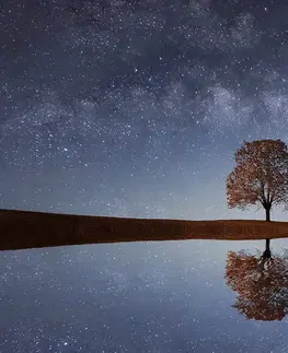 Tapety príroda Fototapeta hviezdna obloha nad osamelým stromom