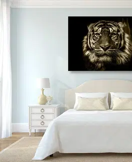 Čiernobiele obrazy Obraz tiger v sépiovom prevedení