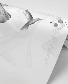 Samolepiace tapety Samolepiaca tapeta listy s kolibríkmi v čiernobielom