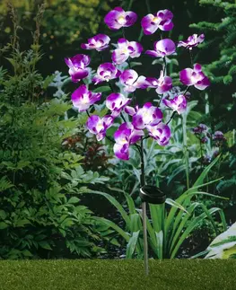 Vonkajšie osvetlenie Solárny záhradný zápich Orchidea