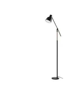 Lampy  Stojacia lampa EDWARD 1xE27/11W/230V 