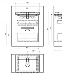 Kúpeľňa SAPHO - THEIA Umývadlová skrinka 56,4x70x43,5cm s umývadlom THALIE, 2x zásuvka, dub strieborný (TH064) TH060-1111-01