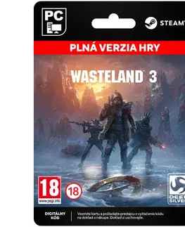 Hry na PC Wasteland 3 [Steam]