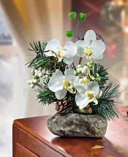 Drobné dekorácie a doplnky Aranžmán z orchideí, biela