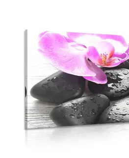 Obrazy Feng Shui Obraz kúzelná súhra kameňov a orchidey