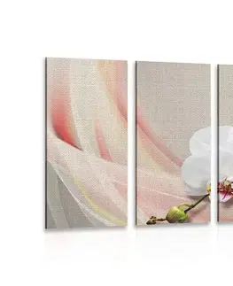 Obrazy kvetov 5-dielny obraz biela orchidea na plátne