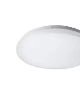 Svietidlá Top Light Top Light DUNAJ K 20 - LED Stropné svietidlo DUNAJ LED/12W/230V 4000K 