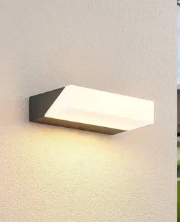 Vonkajšie nástenné svietidlá Lucande Lucande Golnar LED nástenná lampa exteriérová