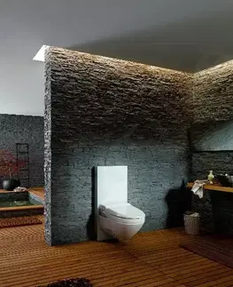 Záchody GEBERIT - Monolith Sanitárny modul na závesné WC, 101 cm, bočný prívod vody, biela 131.022.SI.5