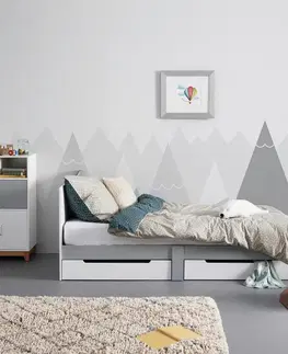 Klasické detské postele Posteľ pre deti a mládež Danny Biela/sivá
